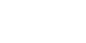 Beeline VEON Trans logo 300x150