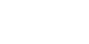 Digital UZ white Logo 300x150